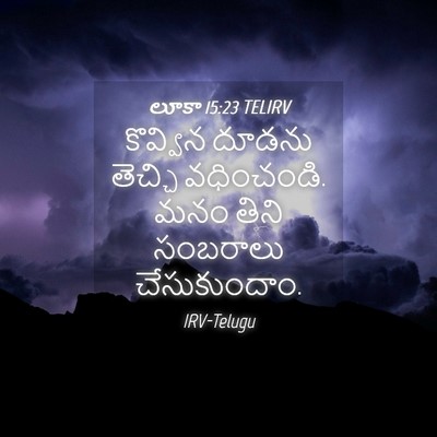 Picture 04 - లూకా 15:23 TELIRV - కొవ్విన దూడను - Bible Verse Picture