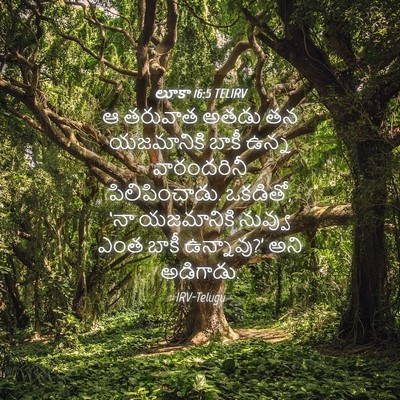 Picture 04 - లూకా 16:5 TELIRV - ఆ తరువాత అతడు తన - Bible Verse Picture