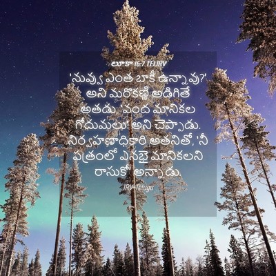 Picture 04 - లూకా 16:7 TELIRV - ‘నువ్వు ఎంత బాకీ - Bible Verse Picture