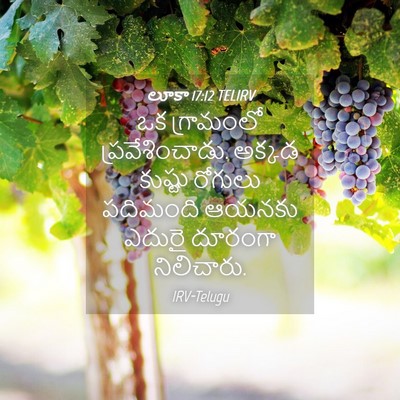 Picture 04 - లూకా 17:12 TELIRV - ఒక గ్రామంలో - Bible Verse Picture