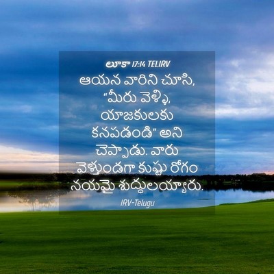 Picture 04 - లూకా 17:14 TELIRV - ఆయన వారిని చూసి, - Bible Verse Picture