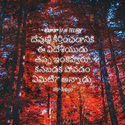 Picture 04 - లూకా 17:18 TELIRV - దేవుణ్ణి - Bible Verse Picture