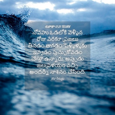 Picture 04 - లూకా 17:27 TELIRV - నోవహు ఓడలోకి - Bible Verse Picture