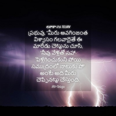 Picture 04 - లూకా 17:6 TELIRV - ప్రభువు, “మీరు - Bible Verse Picture