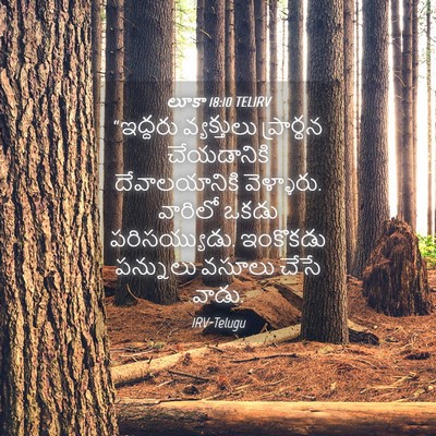 Picture 04 - లూకా 18:10 TELIRV - “ఇద్దరు వ్యక్తులు - Bible Verse Picture