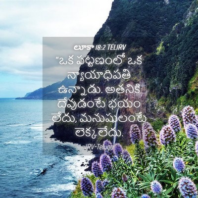Picture 04 - లూకా 18:2 TELIRV - “ఒక పట్టణంలో ఒక - Bible Verse Picture