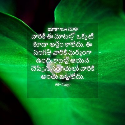 Picture 04 - లూకా 18:34 TELIRV - వారికి ఈ మాటల్లో - Bible Verse Picture