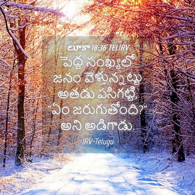 Picture 04 - లూకా 18:36 TELIRV - పెద్ద సంఖ్యలో జనం - Bible Verse Picture