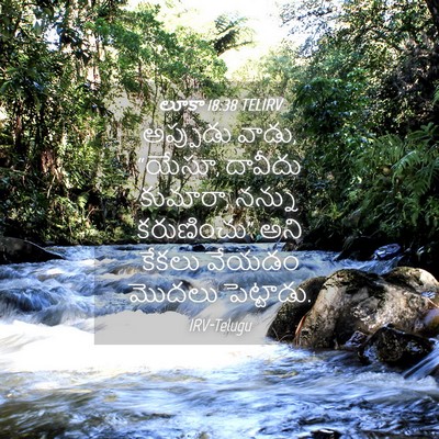 Picture 04 - లూకా 18:38 TELIRV - అప్పుడు వాడు, - Bible Verse Picture