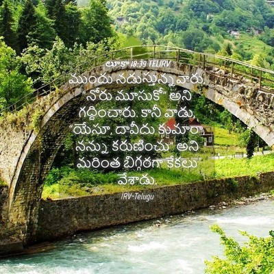 Picture 04 - లూకా 18:39 TELIRV - ముందు - Bible Verse Picture