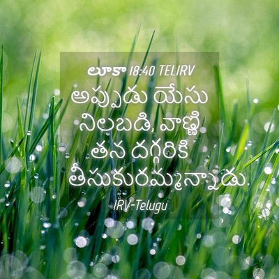 Picture 04 - లూకా 18:40 TELIRV - అప్పుడు యేసు - Bible Verse Picture