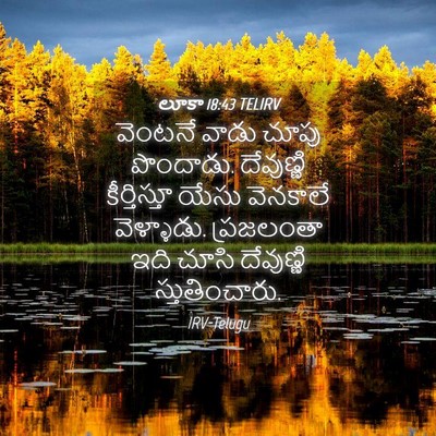 Picture 04 - లూకా 18:43 TELIRV - వెంటనే వాడు చూపు - Bible Verse Picture
