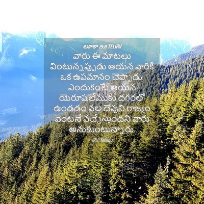 Picture 04 - లూకా 19:11 TELIRV - వారు ఈ మాటలు - Bible Verse Picture