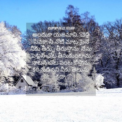 Picture 04 - లూకా 19:22 TELIRV - అందుకా యజమాని, - Bible Verse Picture