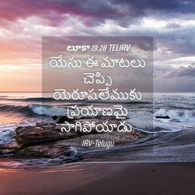 Picture 04 - లూకా 19:28 TELIRV - యేసు ఈ మాటలు - Bible Verse Picture