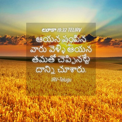 Picture 04 - లూకా 19:32 TELIRV - ఆయన పంపిన వారు - Bible Verse Picture