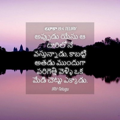 Picture 04 - లూకా 19:4 TELIRV - అప్పుడు యేసు ఆ - Bible Verse Picture