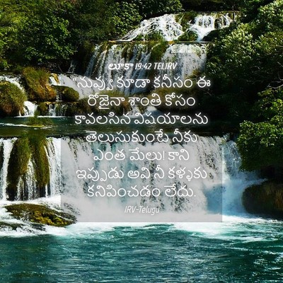 Picture 04 - లూకా 19:42 TELIRV - “నువ్వు కూడా - Bible Verse Picture