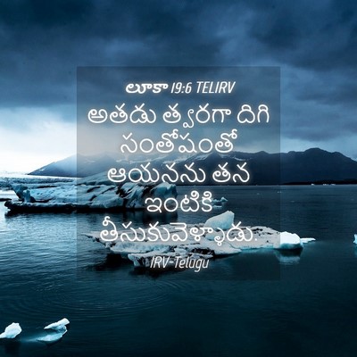 Picture 04 - లూకా 19:6 TELIRV - అతడు త్వరగా దిగి - Bible Verse Picture
