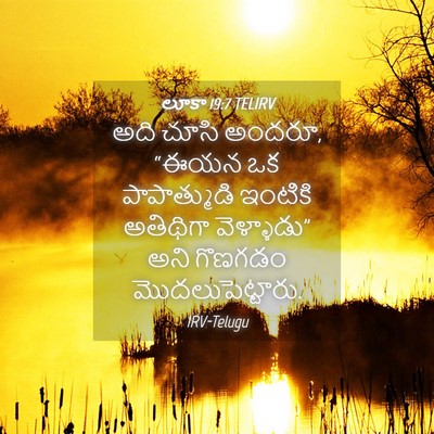 Picture 04 - లూకా 19:7 TELIRV - అది చూసి అందరూ, - Bible Verse Picture
