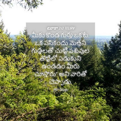Picture 04 - లూకా 2:12 TELIRV - మీకు కొండ గుర్తు - Bible Verse Picture