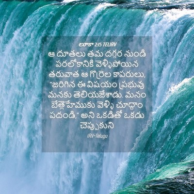 Picture 04 - లూకా 2:15 TELIRV - ఆ దూతలు తమ దగ్గర - Bible Verse Picture