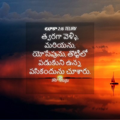 Picture 04 - లూకా 2:16 TELIRV - త్వరగా వెళ్ళి, - Bible Verse Picture
