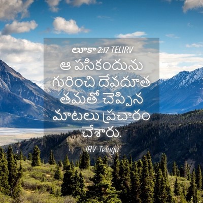 Picture 04 - లూకా 2:17 TELIRV - ఆ పసికందును - Bible Verse Picture