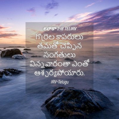 Picture 04 - లూకా 2:18 TELIRV - గొర్రెల కాపరులు - Bible Verse Picture