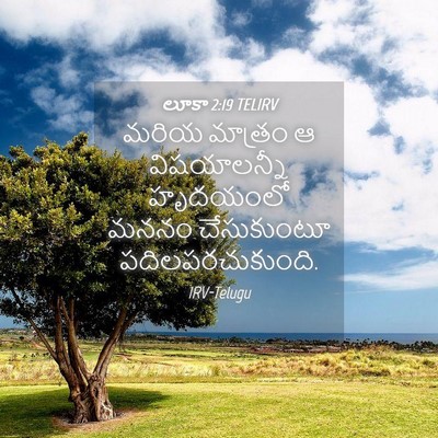 Picture 04 - లూకా 2:19 TELIRV - మరియ మాత్రం ఆ - Bible Verse Picture