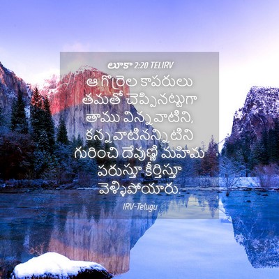 Picture 04 - లూకా 2:20 TELIRV - ఆ గొర్రెల కాపరులు - Bible Verse Picture