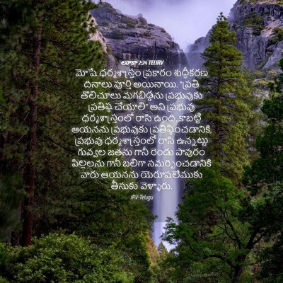 Picture 04 - లూకా 2:24 TELIRV - మోషే ధర్మశాస్త్రం - Bible Verse Picture