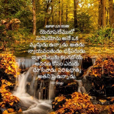 Picture 04 - లూకా 2:25 TELIRV - యెరూషలేములో - Bible Verse Picture