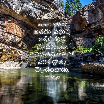 Picture 04 - లూకా 2:26 TELIRV - అతడు ప్రభువు - Bible Verse Picture