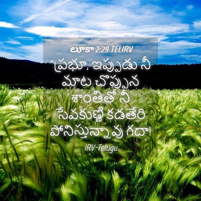 Picture 04 - లూకా 2:29 TELIRV - “ప్రభూ, ఇప్పుడు నీ - Bible Verse Picture