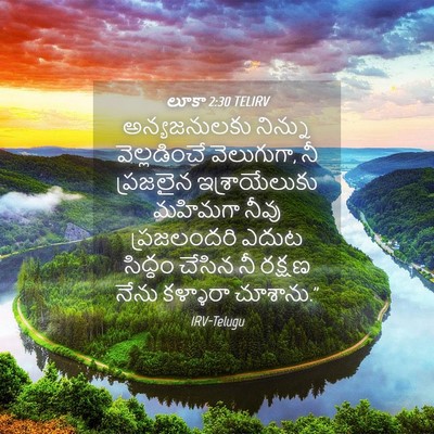 Picture 04 - లూకా 2:30 TELIRV - అన్యజనులకు నిన్ను - Bible Verse Picture