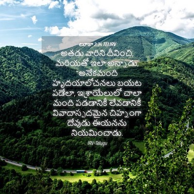 Picture 04 - లూకా 2:34 TELIRV - అతడు వారిని - Bible Verse Picture