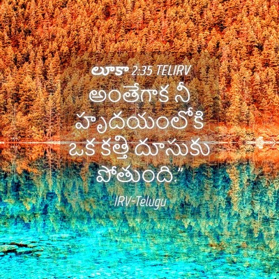 Picture 04 - లూకా 2:35 TELIRV - అంతేగాక నీ - Bible Verse Picture