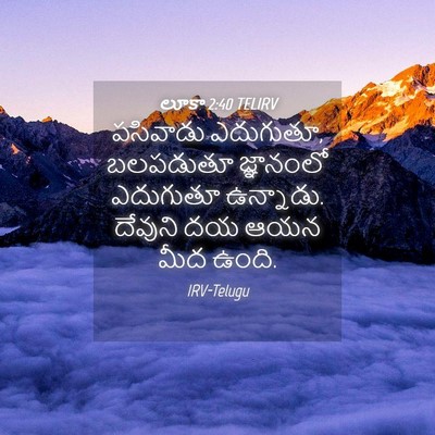 Picture 04 - లూకా 2:40 TELIRV - పసివాడు ఎదుగుతూ, - Bible Verse Picture