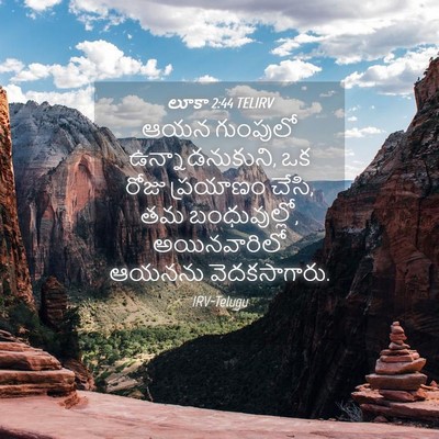 Picture 04 - లూకా 2:44 TELIRV - ఆయన గుంపులో - Bible Verse Picture