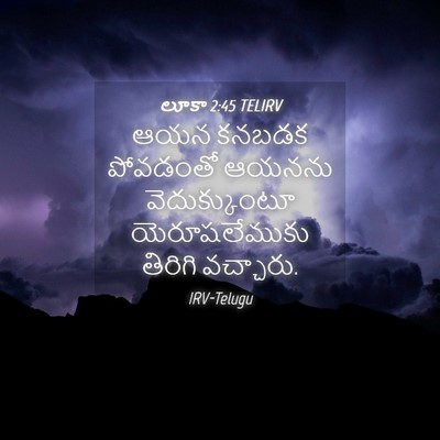Picture 04 - లూకా 2:45 TELIRV - ఆయన కనబడక పోవడంతో - Bible Verse Picture