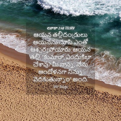 Picture 04 - లూకా 2:48 TELIRV - ఆయన తల్లిదండ్రులు - Bible Verse Picture