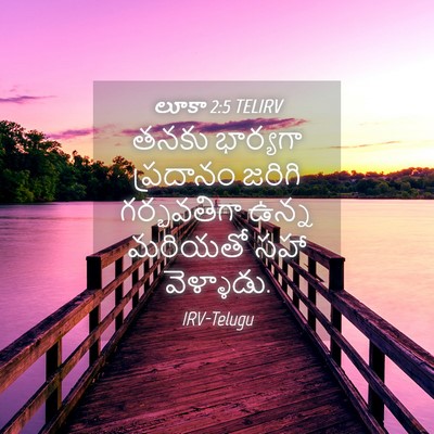 Picture 04 - లూకా 2:5 TELIRV - తనకు భార్యగా - Bible Verse Picture