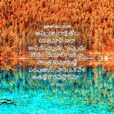Picture 04 - లూకా 20:13 TELIRV - అప్పుడా - Bible Verse Picture