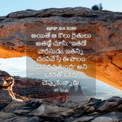Picture 04 - లూకా 20:14 TELIRV - అయితే ఆ కౌలు - Bible Verse Picture