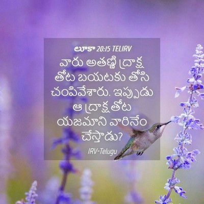 Picture 04 - లూకా 20:15 TELIRV - వారు అతణ్ణి - Bible Verse Picture