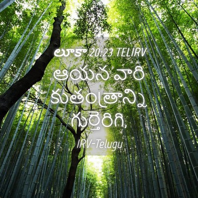 Picture 04 - లూకా 20:23 TELIRV - ఆయన వారి - Bible Verse Picture