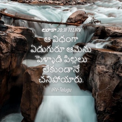 Picture 04 - లూకా 20:31 TELIRV - ఆ విధంగా ఏడుగురూ - Bible Verse Picture