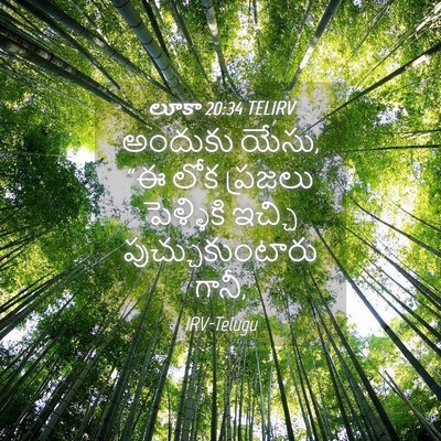 Picture 04 - లూకా 20:34 TELIRV - అందుకు యేసు, “ఈ లోక - Bible Verse Picture