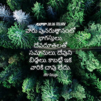 Picture 04 - లూకా 20:36 TELIRV - వారు - Bible Verse Picture
